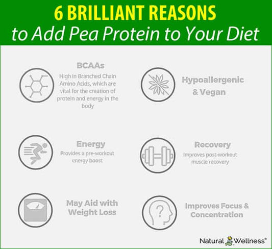 6 Brilliant Reasons to Add Pea Protein to Your Diet