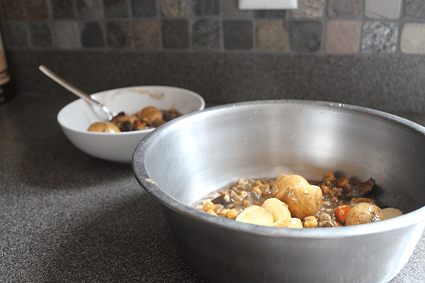 Beef Stew for Two (Your Dog and You!)