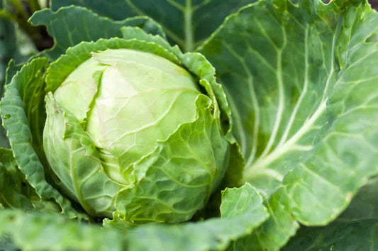 Eat “Green” for St. Patrick’s Day