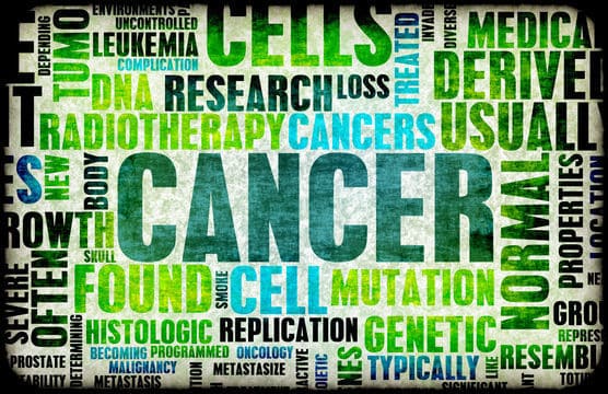 Milk Thistle's Potential Beneficial Role Against Cancer