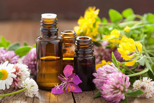 10 Essential Oils for Stress, Skincare, Digestion and More