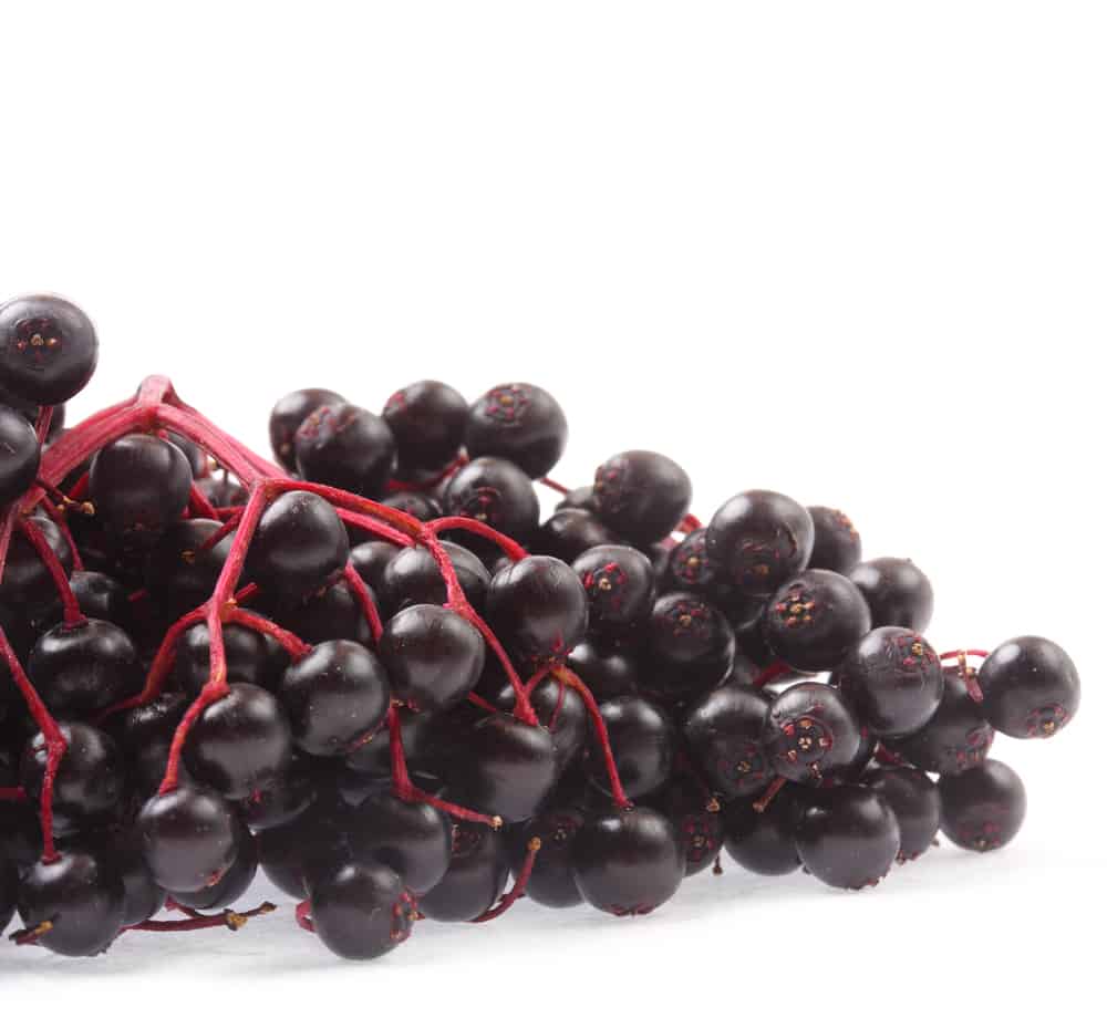 8 Fruits & Vegetables That Support Your Immune System