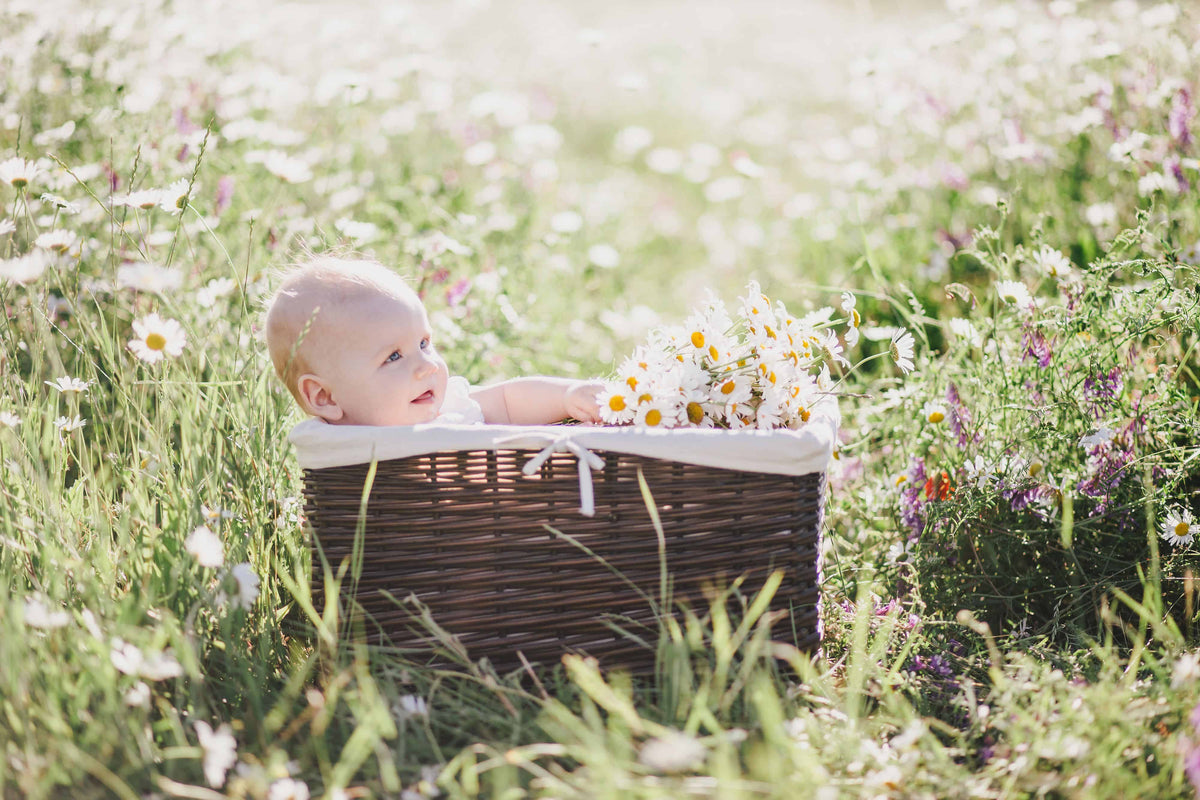 The Best Essential Oils for Your Little One