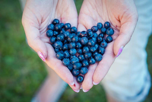 The Best 9 Foods for Your Heart