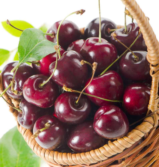 The Best Fruits for Weight Loss