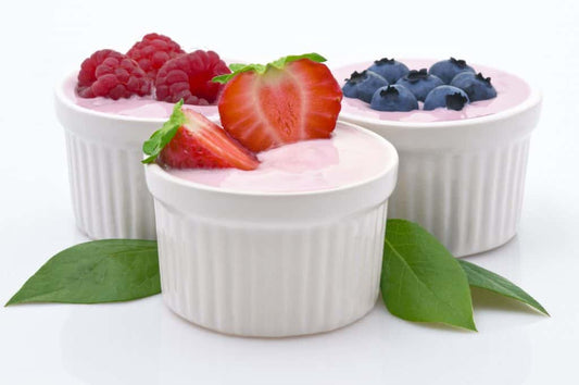 5 Vital Reasons to Feed Your Gut What it Needs