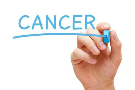 Milk Thistle's Potential to Fight Lung Cancer