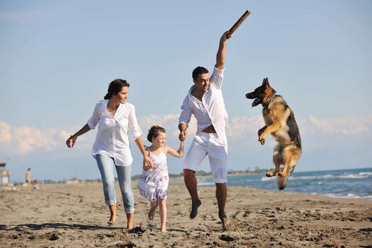 Vacation Tips for Traveling With Your Pet