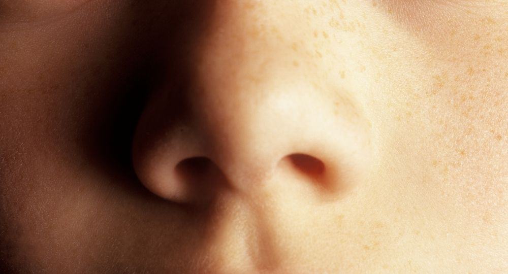 Does Everyone Have A Philtrum and Why Do We Have It?