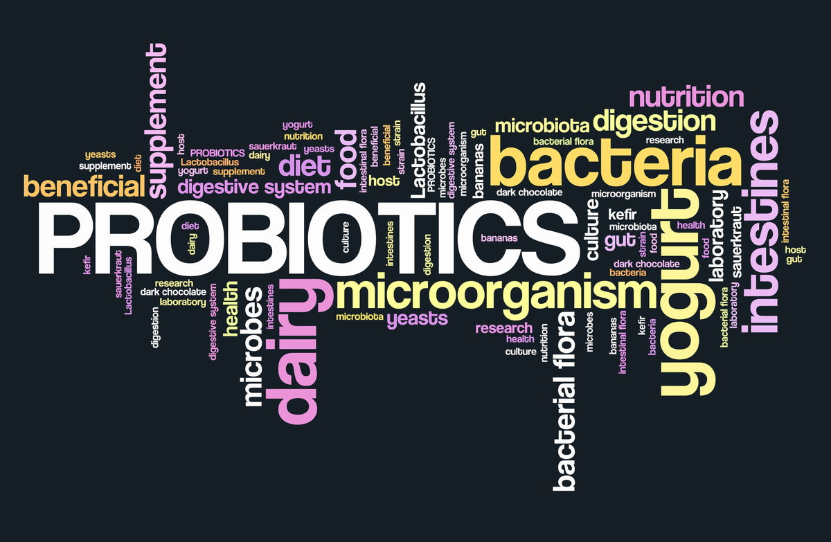 Why You Should Take Probiotics During Cold and Flu Season