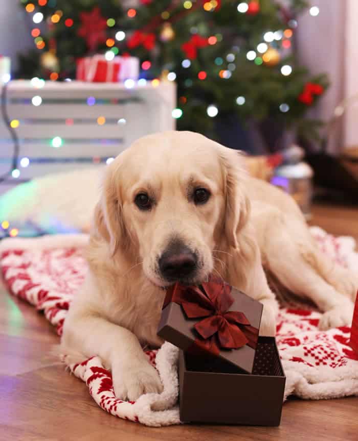 6 Post-Holiday Stress Reduction Tips