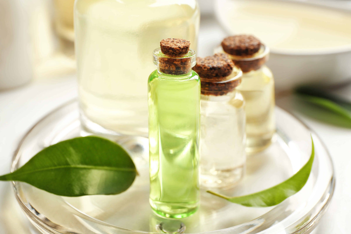 Tea Tree Oil May Save Over 550,000 Lives a Year in the U.S. Alone