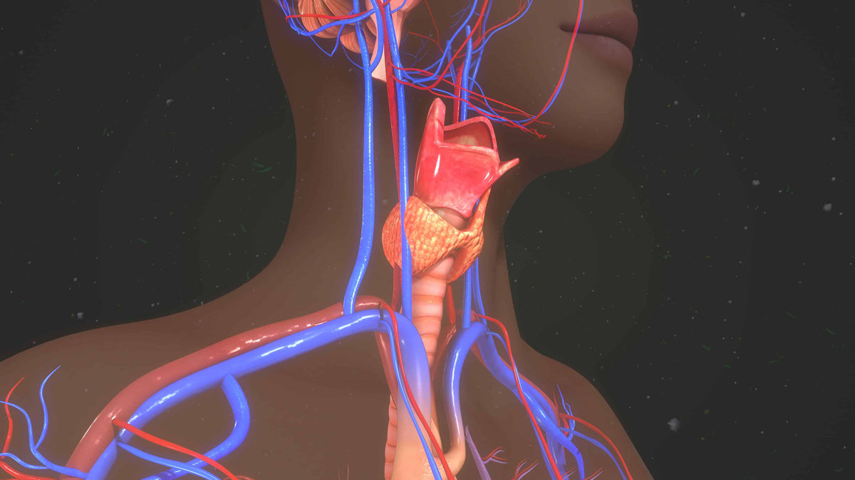 7 Superb Foods to Improve Thyroid Health