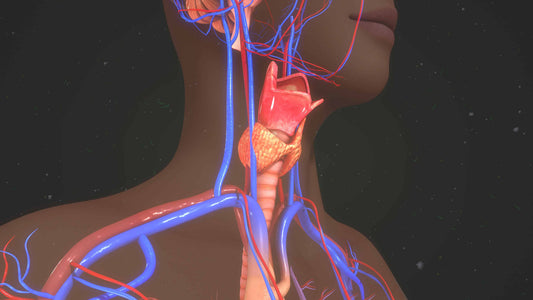 7 Superb Foods to Improve Thyroid Health