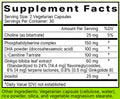 Brain Support Ingredients
