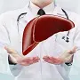 Liver Support