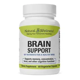 Brain Support