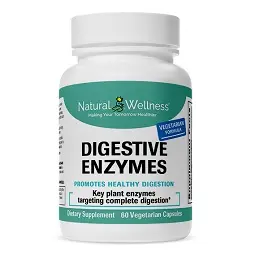 Digestive Enzymes