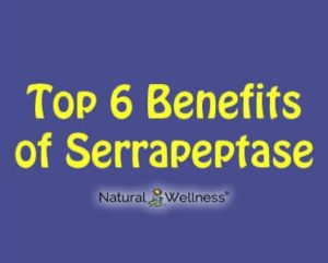 6 Benefits Of Serrapeptase Including Decreased Inflammation