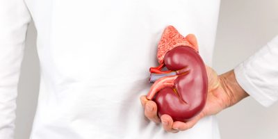 6 Kidney Health Essentials