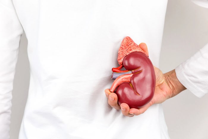 6 Kidney Health Essentials