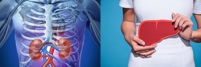 the connection between kidney and liver health